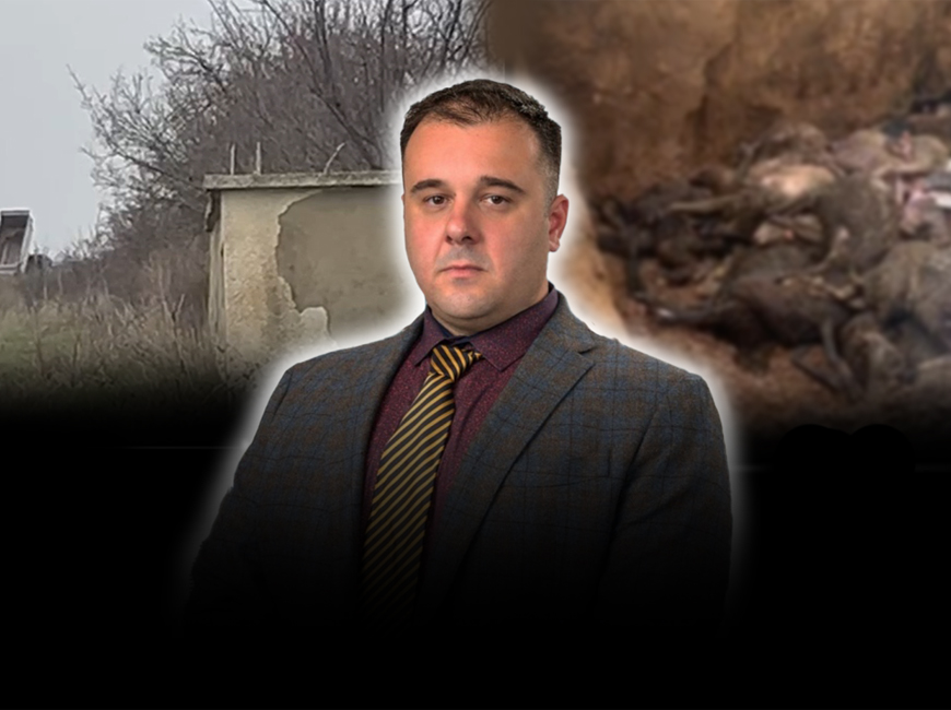 Поредно престъпление срещу България