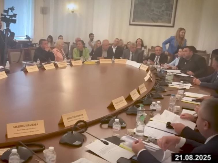 Безводието стана театър: Беновска гласува за Борисов, Пеевски, Слави и БСП